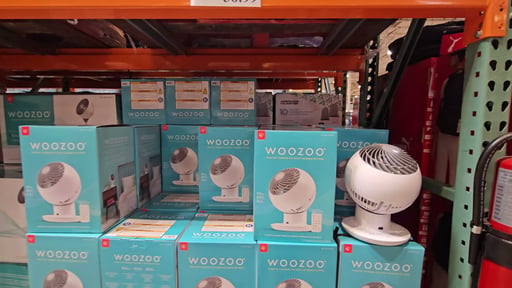 Woozoo 5-Speed Globe Fan