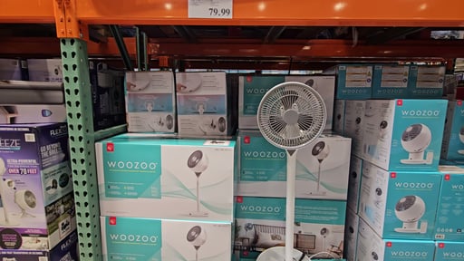 Woozoo 360° Pedestal Air Circulator