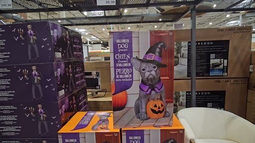 Halloween Dog Greeter