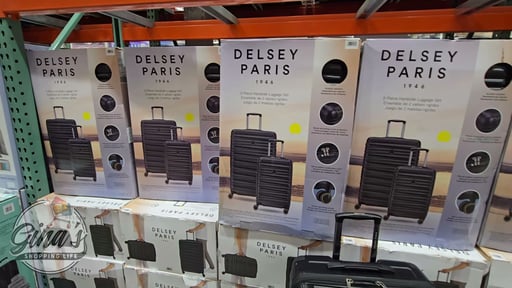 Delsey 2 Piece Luggage Hardside Set