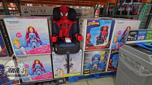 KidsEmbrace Character Car Seat