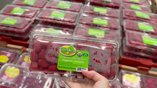 Organic Raspberries 12 oz