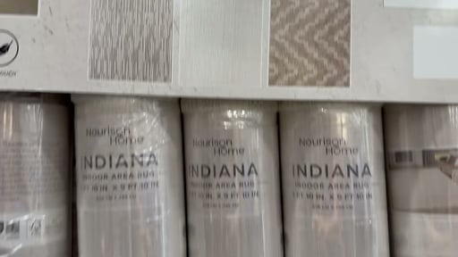 Nourison Indiana Area Rug, 7'10" x 9'10"