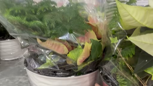 Holiday Winter Garden Planter
