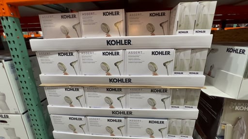 Kohler Assert Multi-Function Handheld Shower Head