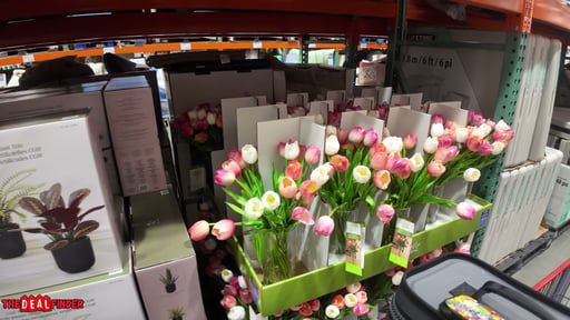 Tulip Arrangement