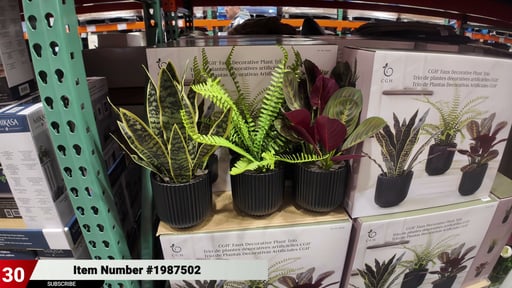 C.G. Hunter Faux Decorative Plant Trio