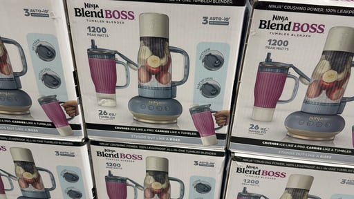 Ninja BlendBoss Single Serve Blender