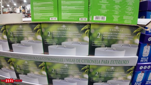 Essenza Outdoor Citronella Candle 2-Pack
