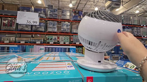 Woozoo 5-Speed Globe Fan