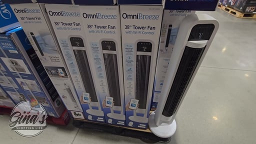 OmniBreeze Tower Fan