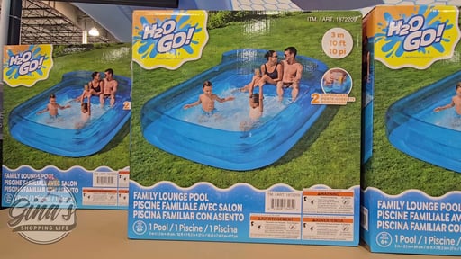 H2OGO! Family Lounge Pool