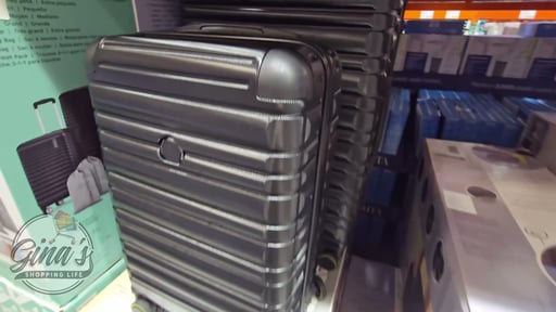 Delsey 2 Piece Luggage Hardside Set