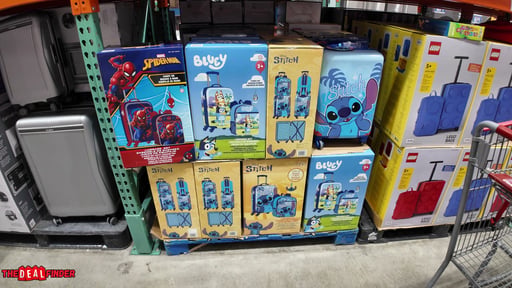 Licensed 2-Piece Luggage Set with Tag, Character Assortment