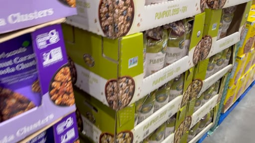 Nature's Path Organic Pumpkin Seed Flax Granola