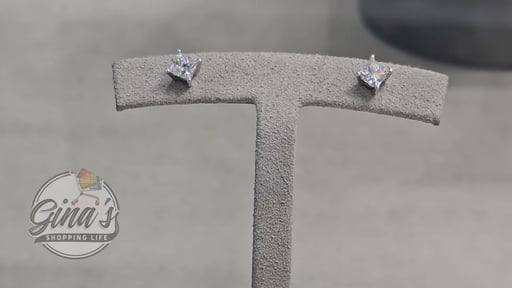 14KT White Gold VS2 G 0.73ctw Princess Cut Diamond Earrings