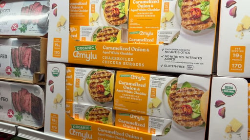 Amylu Caramelized Onion & Aged White Cheddar Chicken Burgers