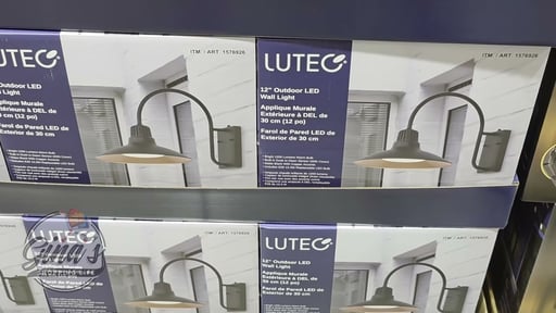 LUTEC 12" Wall Light