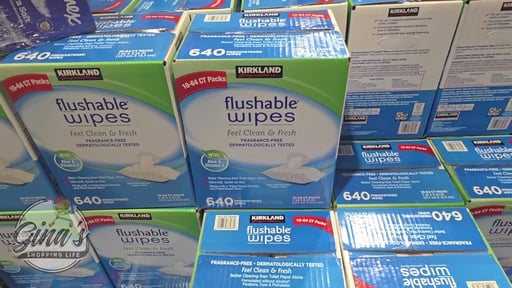 Kirkland Signature Flushable Wipes Fragrance Free 640 Count