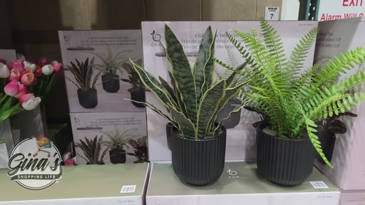 C.G. Hunter Faux Decorative Plant Trio