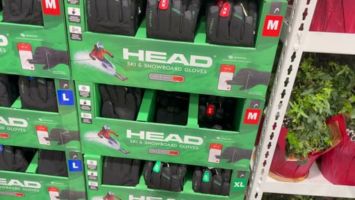 HEAD Unisex Adult Ski Gloves
