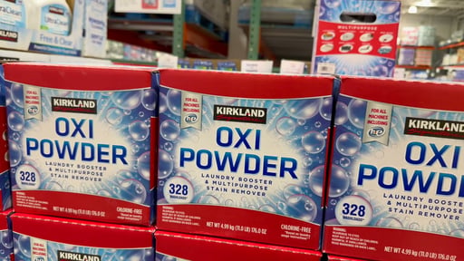 Kirkland Signature Oxi Powder