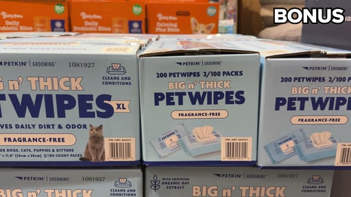 Petkin Big N' Thick XL Pet Wipes, 200 CT (2-Pack)