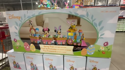 Disney Spring Train
