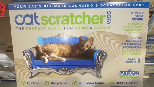 Cattfidence Cat Scratcher