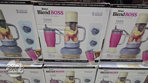 Ninja BlendBoss Single Serve Blender
