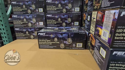 Feit Electric 48' LED String Lights