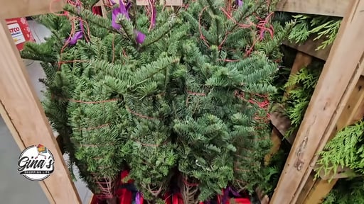 Noble Fir Fresh Cut Christmas Tree with Stand, 3.5'–4.5'