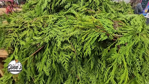 Red Cedar and White Pine Garland 25 Feet