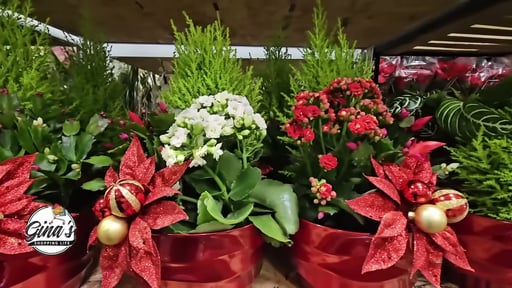 Holiday Winter Garden Planter