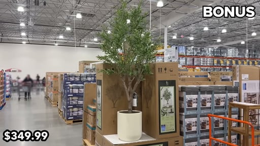 C.G. Hunter Faux 8' Olive Tree