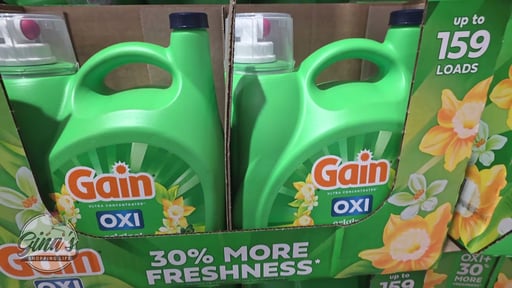 Gain Liquid High Efficiency 170 fl oz 159 Loads 5.3 Quarts