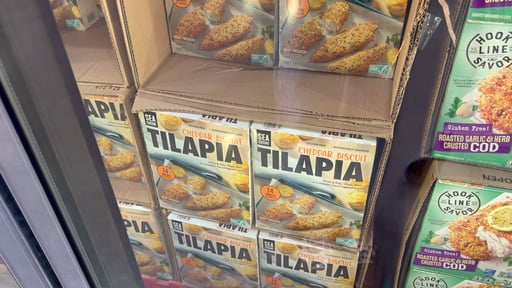 Sea Cuisine Cheddar Biscuit Tilapia