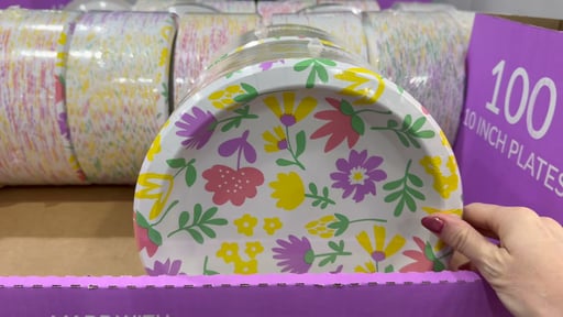 Pizazz 10" Spring Paper Plates, 100 Count