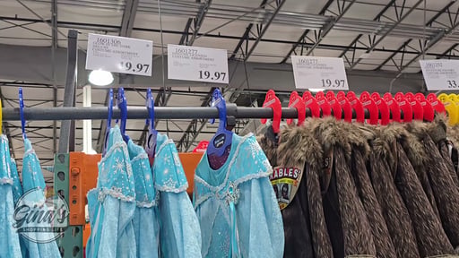 Teetot Princess Factory Costume Assortment