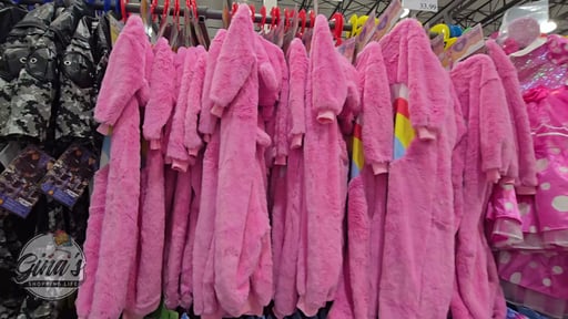 Care Bears Licensed Costume