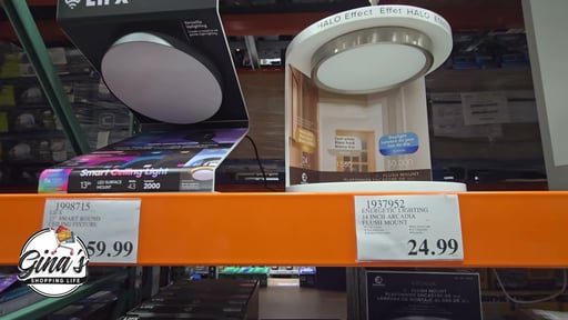 Energetic Lighting 14-Inch Arcadia LED Flush Mount Ceiling Light