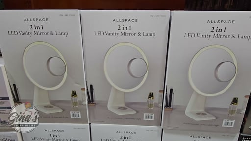 Allspace 2-in-1 LED Mirror and Tabletop Lamp