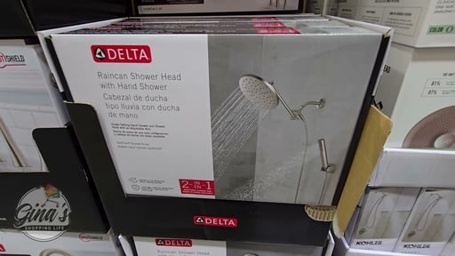 Delta 8-Inch Raincan Shower Head with Hand Shower, Brushed Nickel