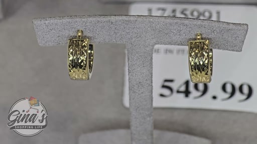 14kt Yellow Gold Diamond Cut Hoop Earrings Made in Italy