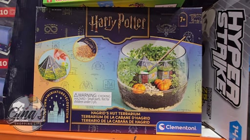 Terrarium Kit Assortment - Harry Potter or Stranger Things