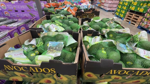 Avocados, Hass Variety, 6 Count
