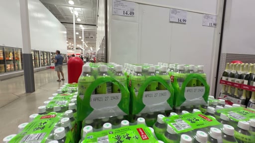 Ito En Oi Ocha Unsweetened Green Tea, 12 Pack, 16.9 fl oz Bottles
