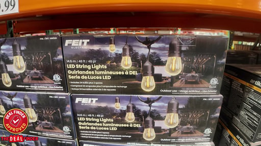Feit Electric 48' LED String Lights