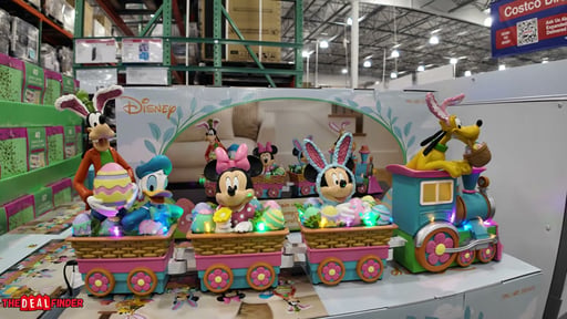 Disney Spring Train
