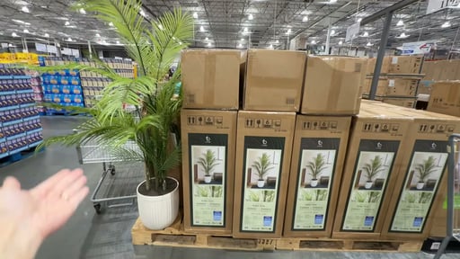 Faux 6.5' Palm Tree